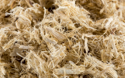 Slippery Elm: The Wonder Herb