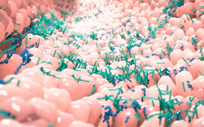 Probiotics: Nature’s little helper