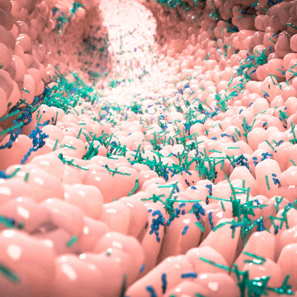 Probiotics: Nature’s little helper